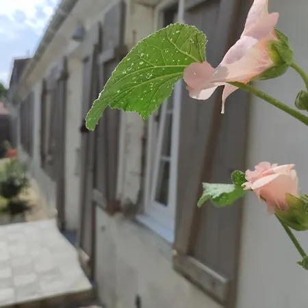 La Cachette Maison De Saint-Pierre-d'Oleron